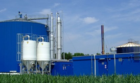 Условия реализации проектов внедрения биогазовых комплексов